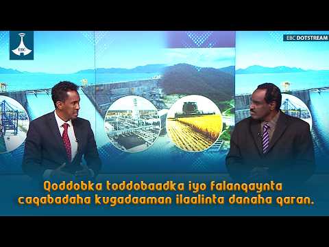 Qoddobka toddobaadka iyo falanqaynta caqabadaha kugadaaman ilaalinta danaha qaran.