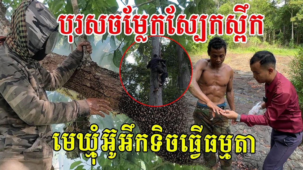 ប្លែកណាស់បងប្រុស បទពិសោធន៍យកឃ្មុំជាង២០ឆ្នាំ ឡើងសាំជាមួយទ្រនិចឃ្មុំហើយ