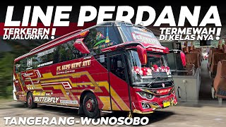 LINE PERDANA PEMAIN BARU! Bus Keren Interior Mewah: Kupu-Kupu Ayu KIANO : AKAP Tangerang - Wonosobo
