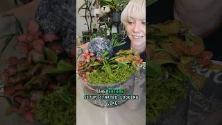 I Built a Mini Carnivorous Plant Jungle Terrarium Ecosystem  #terrarium #stem  #plants