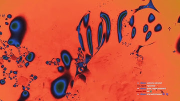 Cellular Pulse | Visuals Experiment 003 – Modular Synth by nBeaux 🧬🎶