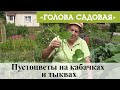 Голова садовая - Пустоцветы на кабачках и тыквах