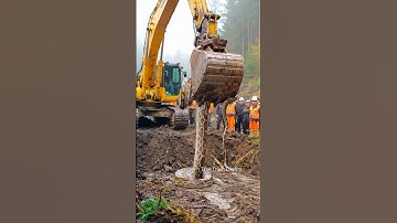 Huge Snake Nest Discovered While Excavator Opens New Site! #excavator #snake #construction #heavyequ