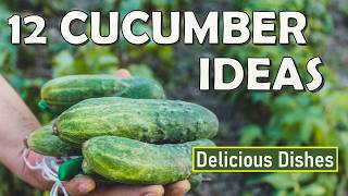 A GLUT of Cucumbers? 12 DELICIOUS Ways to Use Them Up!