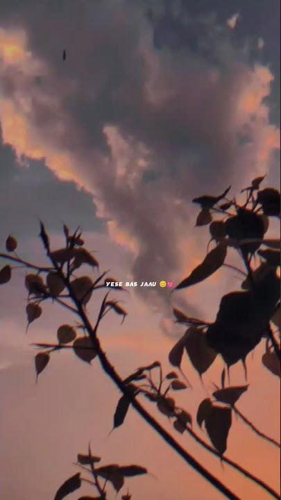 Teri Sanso Me Aise Bas Jau Lyrics Status Aesthetic Video |✓ #shorts #lyrics #shortvideo #aesthetic