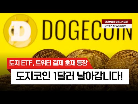 도지코인 ETF 트위터 결제 호재로 1달러 날아갑니다 필수시청 