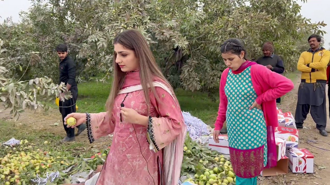 Amrood Vlog Video | Rimsha Queen And Sara Malik | Latest Entertainment Viseo 2022