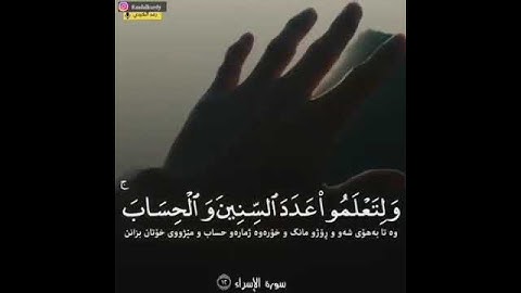 تلاوة مريحة للأعصاب تأخذك لعالم آخر و تنسيك همومك ❤🇵🇸❤