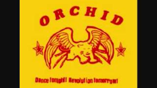 Orchid - ...And The Cat Turned To Smoke chords