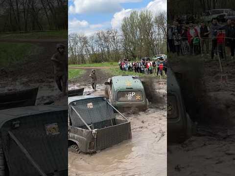 Видео: Чемпион в деле! 