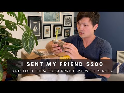 I Sent My Friend $200 and Told Her to Surprise Me!