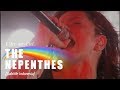 Miniature de la vidéo de la chanson The Nepenthes