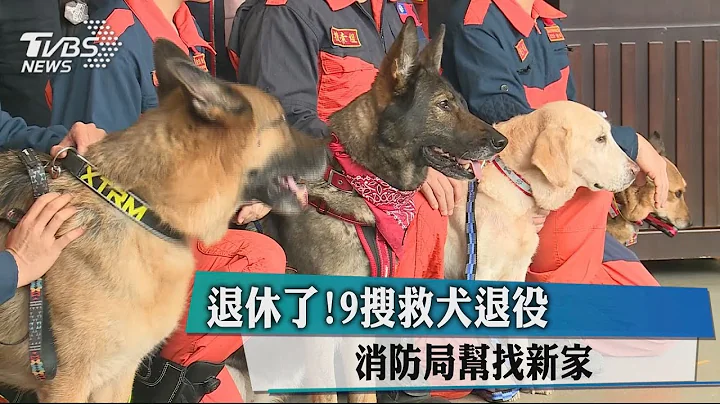 退休了！9搜救犬退役　消防局幫找新家 - 天天要聞