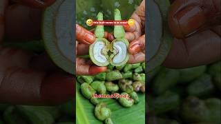 What You Call This Fruit In Ur Area?🤔 వీటి పేరు తెలుసా?🤔