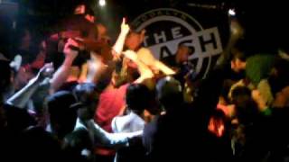 MURPHY'S LAW - "QUEST FOR HERB" Live on St. Paddy's day 2010 Brooklyn, NY