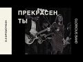 Прекрасен Ты - В. Ефремочкин & Glorious band