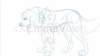 Animation - Pant