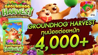 สล็อตวอเลท│GROUNDHOG HARVEST ทุนน้อยต่อยหนัก 4,000+