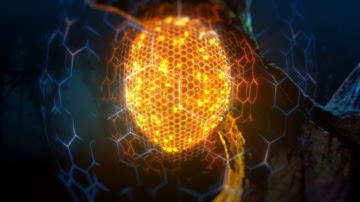 NetComm: What is your IoT Strategy?