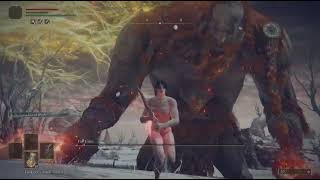 Fire giant rl1 no damage(solo, melee only, no summons)
