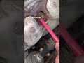 Genius automotive pack