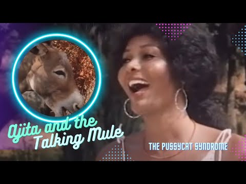 THE PUSSYCAT SYNDROME (1983) Ajita Wilson and a talking mule.