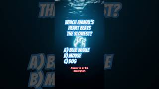 🙋♂️Which Animals Heart Beats The Slowest #animalshorts #learnaboutanimals #trivia #animalfacts