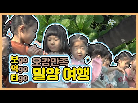 보Go 먹Go 타Go! 오감만족 밀양 여행 | 생생투데이 사람과 세상 | 20200103