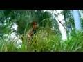 Flash Point - chinese movies, Movies, Watch Khmer Movies online, មើលរឿង ភាពយន្តភាគចិន