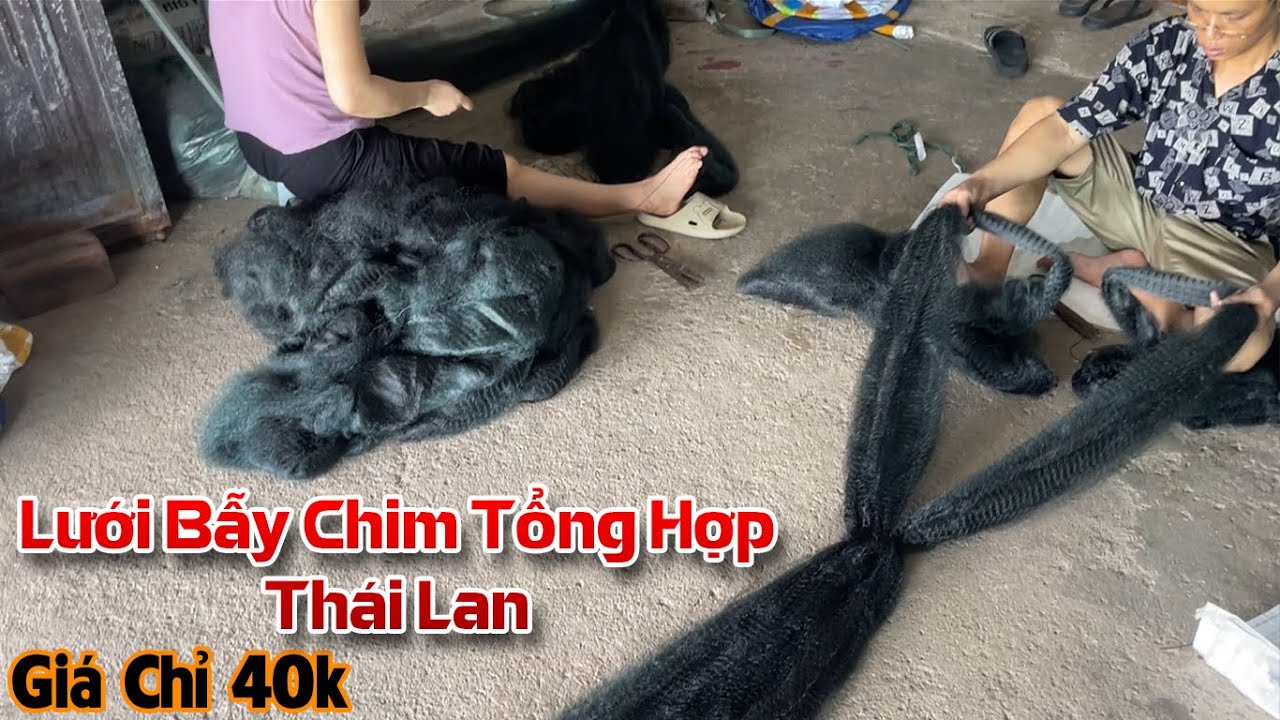 Lưới Bẫy Chim Tổng Hợp Thái Lan Mới Nhất 2026 , Lưới Tàng Hình Giá Rẻ 0987782098