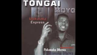 Tongai Moyo - Tenda (Pakanaka Dhewa Album 2004) (Official Audio)