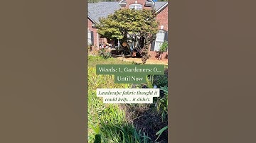 Why Landscape Fabric Fails