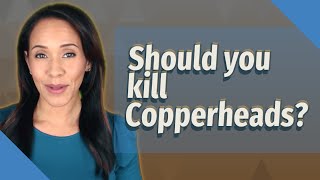 Should you kill Copperheads?