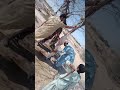 Shekhe shahede Dera Ismail Khan kpk
