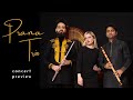 Prana trio  flute harp bansuri  indian and western classical collaboration  concert preview