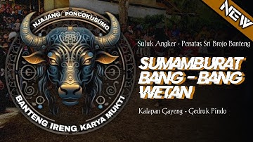 KALAPAN GAYENG - BANTENG IRENG KARYA MUKTI - Sumamburat Bang Bang Wetan