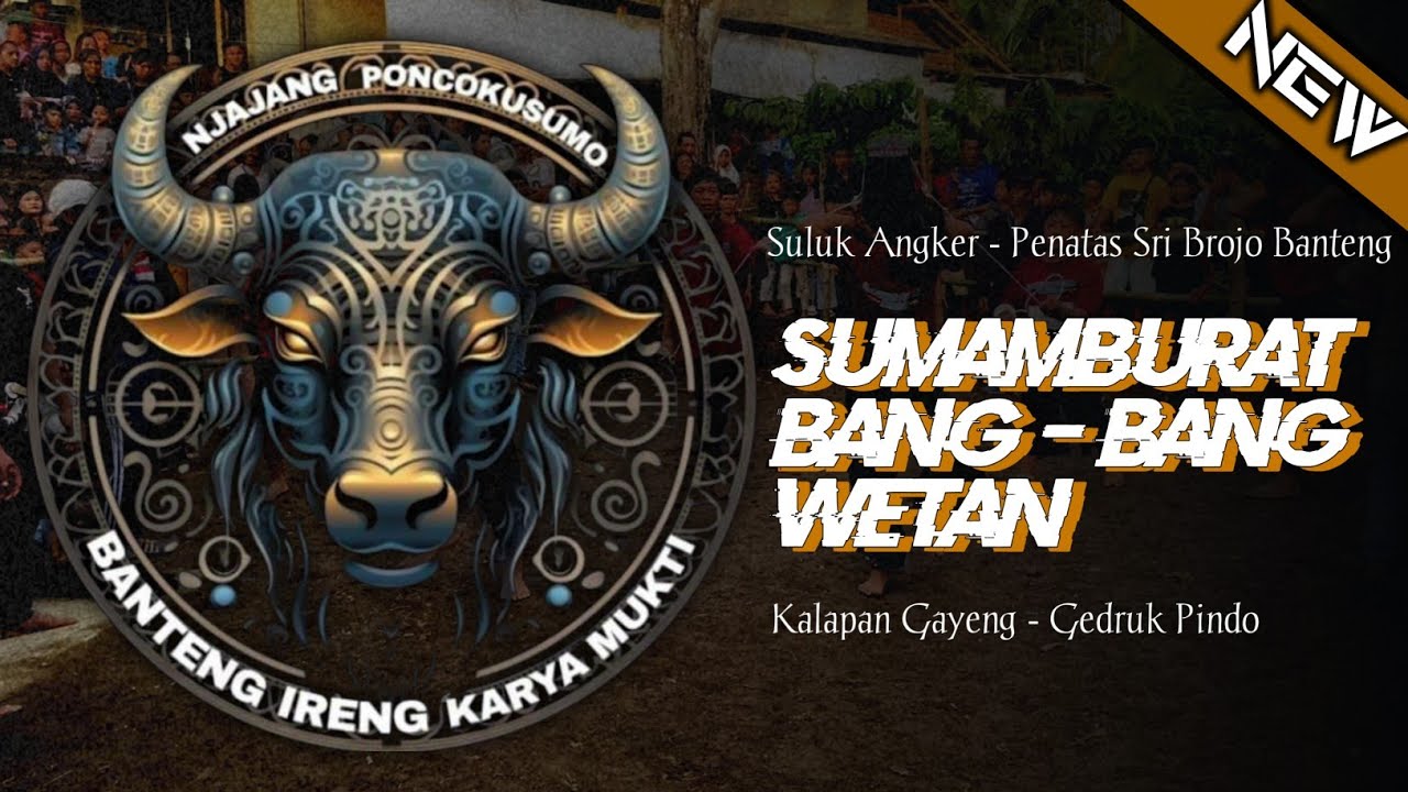 KALAPAN GAYENG - BANTENG IRENG KARYA MUKTI - Sumamburat Bang Bang Wetan