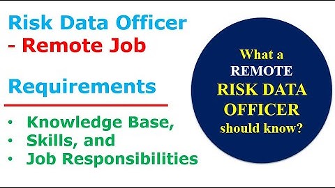 Risk Data Officer | Remote Job | Knowledge Skills and Job Requirements