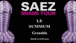 Damien Saez - Concert intégral (16 avril 2013 - Grenoble - Summum)