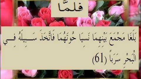 القرآن الكريم سورة الكهف الأية 61