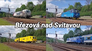 Vlaky / Trains: Březová nad Svitavou (trať / track: 260) - 6.5.2024