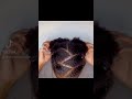 4C hair simple Hairstyle  #naturalhair #afrohair #4Chair