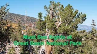 Great Basin National Park Must See Sights