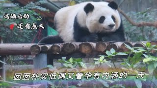 《囡囡减肥日记》230212，五粮液，甘蔗，笋子，苹果，胡萝卜，又是羡煞旁熊的一天