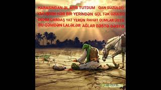 Seyid Taleh Derdlere Derman Huseyn Resimi