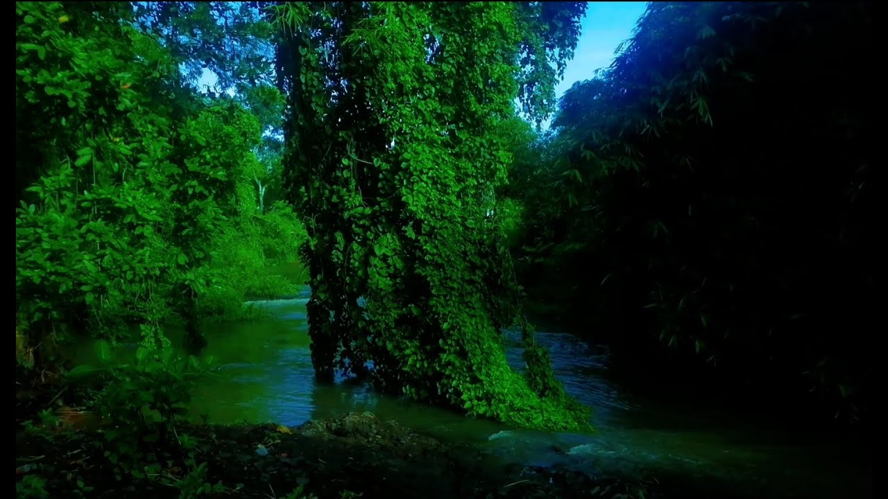 Relaxing River Sound calm water for sleep, stress relief, for yoga, for meditation