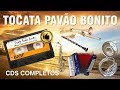 🛑 Pavão Bonito - CD Completo - Tocata CCB Completa | Misael Berganton Quinzinho Lori e Cia