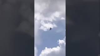 Gökyüzünde Uçan At Şfet