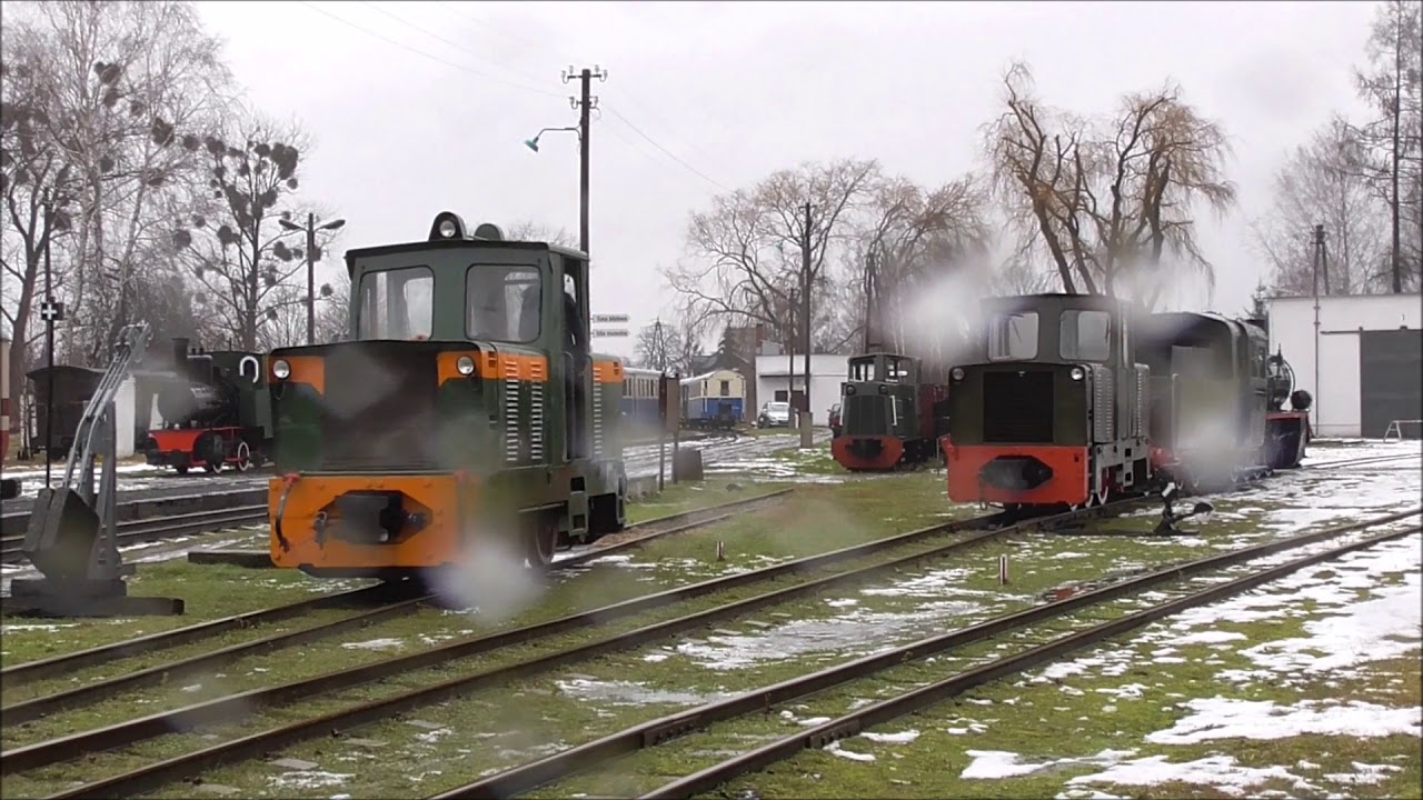 Zima Rogów Manewry i szopa 2018