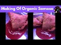 Making of Organic Samosa | Mini Samosa😋 | Samosa Recipe